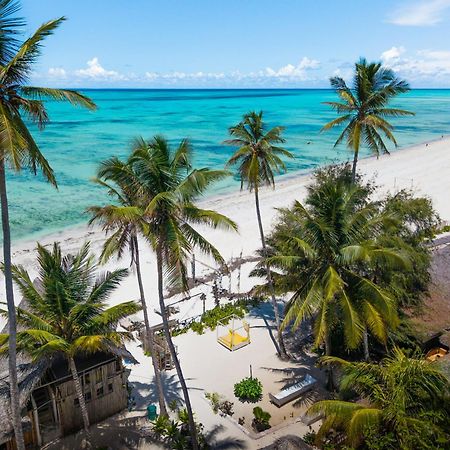 Pili Pili Palm Beach Jambiani  Eksteriør billede